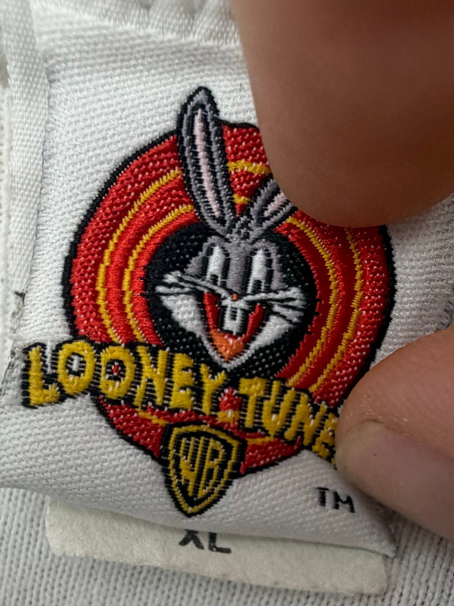 Vintage 1990s Looney Tunes Taz Ice Breaker Hockey Longsleeve