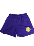Eric Emanuel EE Basic Mesh Shorts in Purple and Yellow