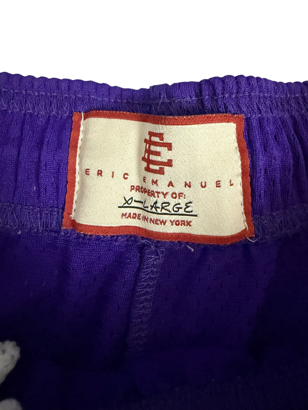 Eric Emanuel EE Basic Mesh Shorts in Purple and Yellow
