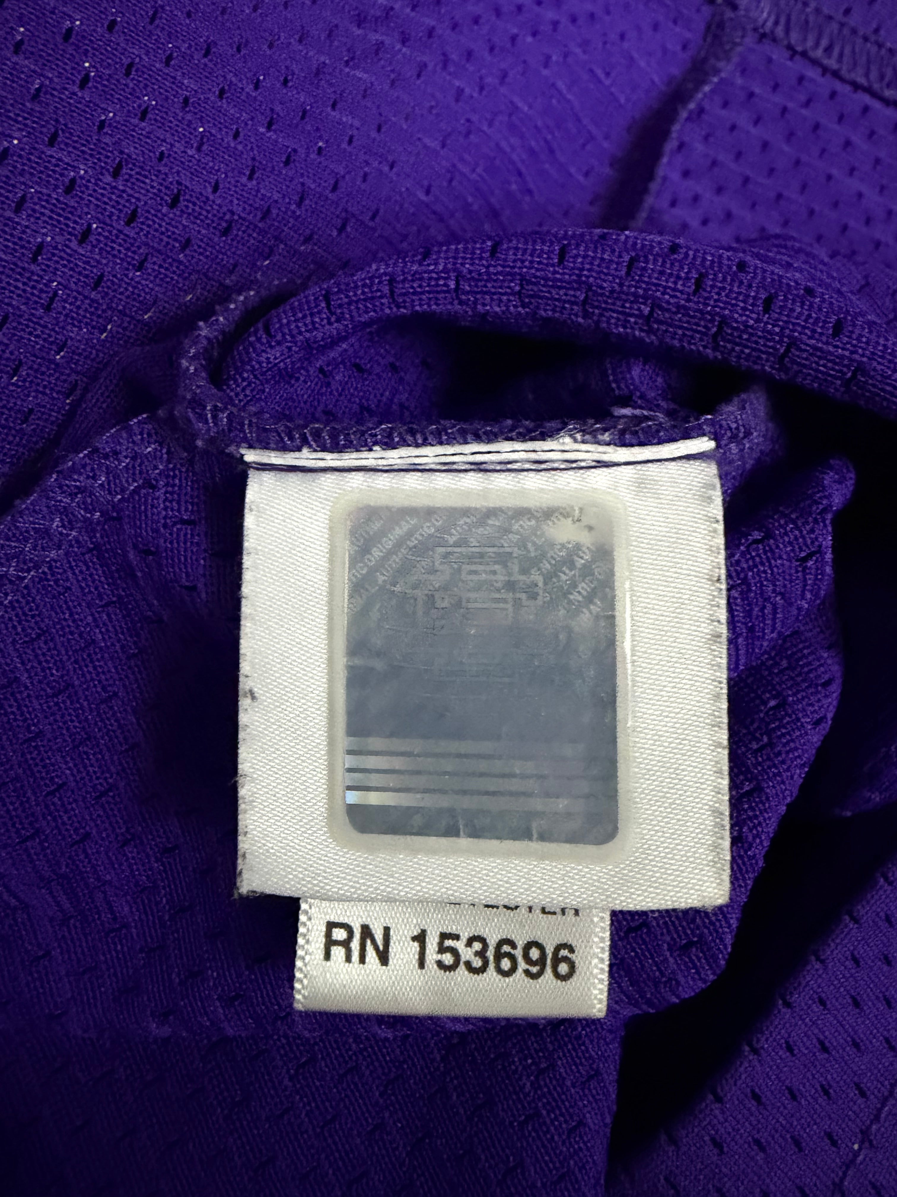 Eric Emanuel EE Basic Mesh Shorts in Purple and Yellow