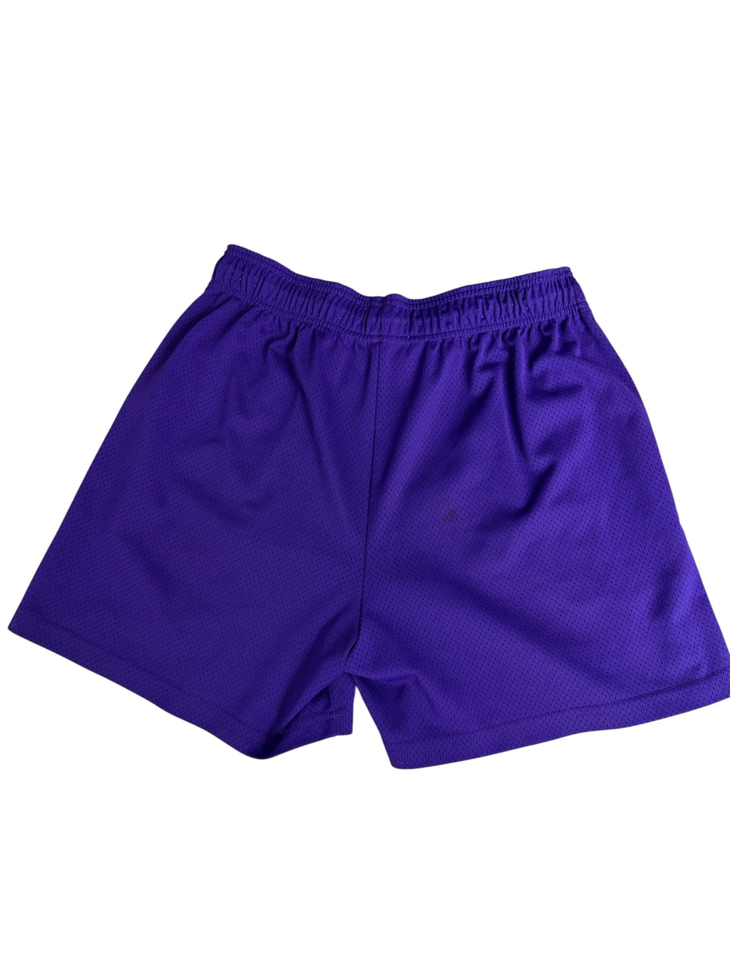 Eric Emanuel EE Basic Mesh Shorts in Purple and Yellow