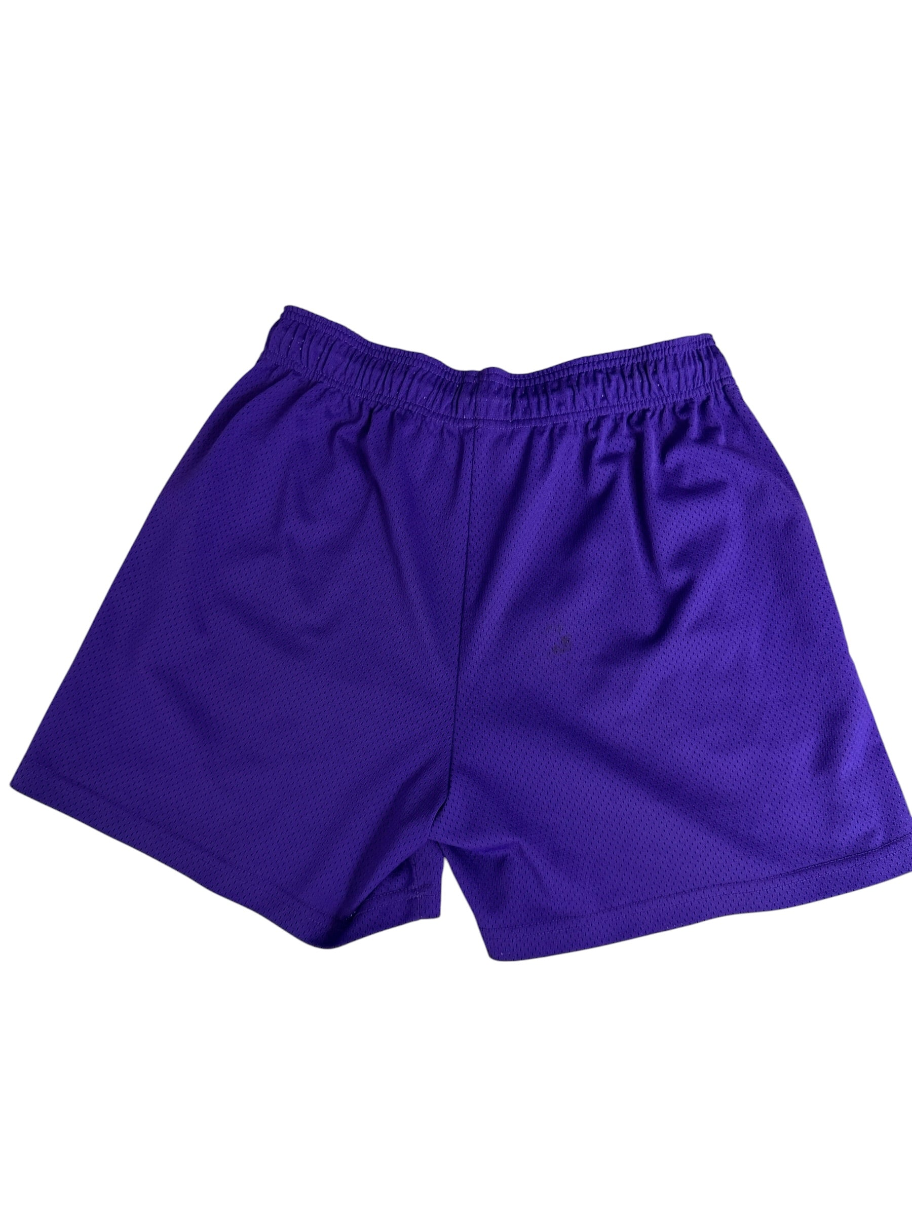 Eric Emanuel EE Basic Mesh Shorts in Purple and Yellow